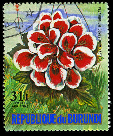 REPUBLIC OF BURUNDI - CIRCA 1974: A stamp printed in Republic of Burundi shows Pelragonium Domesticum "AZTEC", series, circa 1974のeditorial素材
