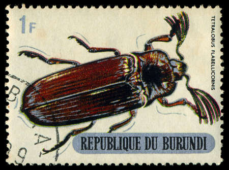 REPUBLIC OF BURUNDI - CIRCA 1970:printed in Republic of Burundi shows  shows beetle, circa 1970.のeditorial素材