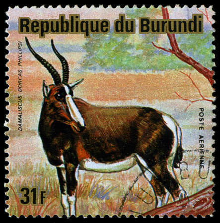 BURUNDI - CIRCA 1964: A stamp printed in Burundi shows a wild animal, circa 1964.のeditorial素材