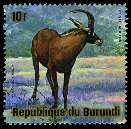 BURUNDI - CIRCA 1964: A Stamp printed in BURUNDI shows image of a animal of Burundi, circa 1964のeditorial素材