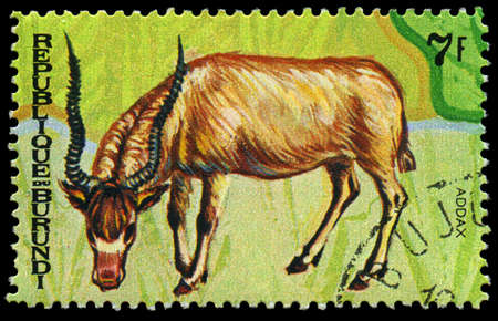 REPUBLIC OF BURUNDI - CIRCA 1970:  printed in Republic of Burundi shows  animals, series, circa 1970のeditorial素材