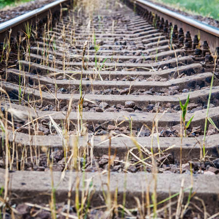 Railroad rails overgrown with grassの写真素材