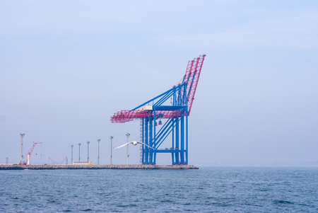 The empty container seaport, foggy dayの写真素材