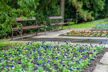 Stylish bench in summer park. Tilt-shift effectの写真素材