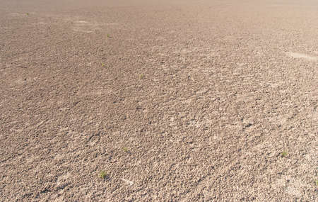 Dried salt lake Kuyalnik shore , Odessa, Ukraineの写真素材