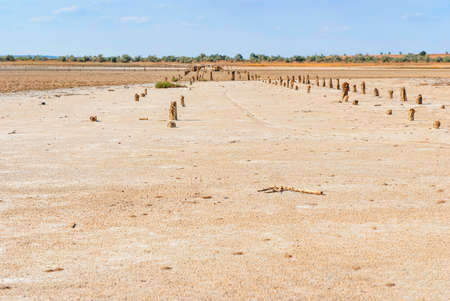 Petrified tree stubs on the bank of the salty lake, Kuyalnik, Ukraineの写真素材
