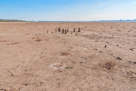 Petrified tree stubs on the bank of the salty lake, Kuyalnik, Ukraineの写真素材
