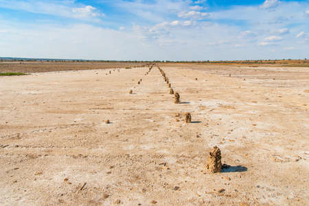 Petrified tree stubs on the bank of the salty lake, Kuyalnik, Ukraineの写真素材