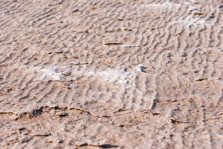 Dry salt lake bottom full of texture.The cracks form a distinctive lightning like pattern.の写真素材