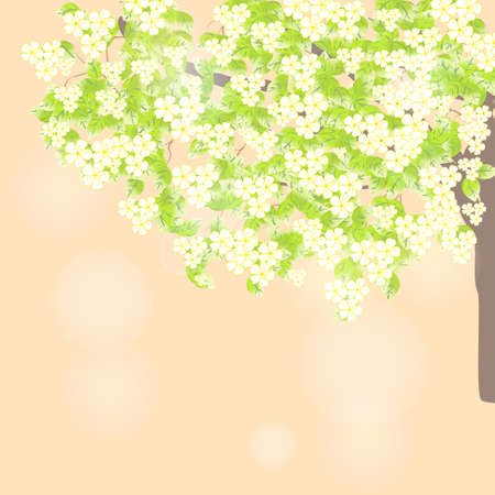Branch of a blossoming tree. Spring leaves light backgroundのイラスト素材