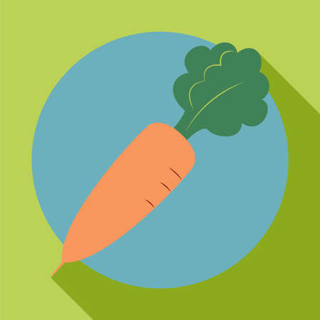 Carrot icon in the style of a flat design with shadowのイラスト素材