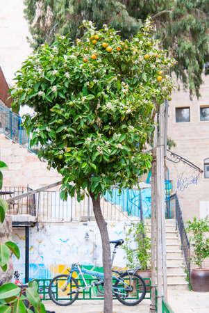Jerusalem courtyard in the old townの写真素材