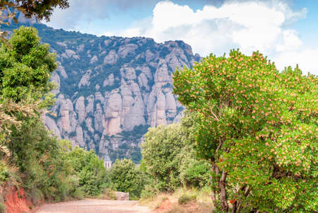 Breathtaking view to Montserrat mountain range on a sunny summer day near Barcelona, Catalonia, Spainの写真素材