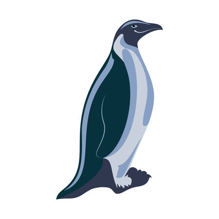 Vector cartoon style illustration of penguins. Isolated on white background.のイラスト素材