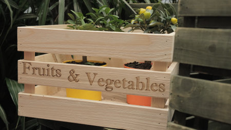 Wooden box with inscription fruits, vegetables. Inside box are Mexican limes in flower pots. Concept of organic, vegan food. Screen from video footageの写真素材