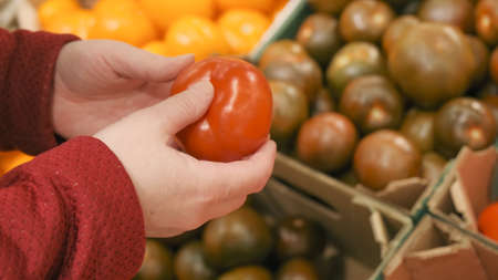 Girl in the store buys red tomatoes. Close up shot. The concept of shopping, vegetarianism, consumption of vegetables and vitaminsの写真素材