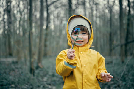 Small cute caucasian child in a bright yellow raincoat with a hood stands in forest and holds early spring flowers Pulmonaria obscura in his hands. The concept of a happy childhood and nature walksの写真素材