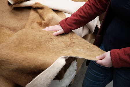 Pregnant woman buys a carpet made of natural fur and leather for the floor in the living room in...
