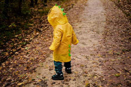 Kid in a yellow raincoat walks through the autumn park on a rainy day. The raincoat has a green...