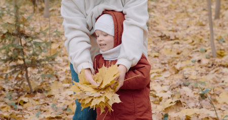 Small, cute child with his mother hold yellow leaves in their hands of the Canadian maple. The concept of childhood, a happy family and lifestyle. Autumn nature, clean air, active holidays on weekendsの写真素材