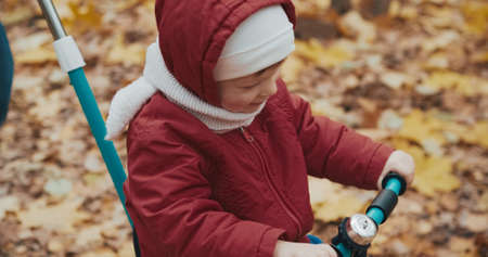 Mom rides cute little girl on bicycle in autumn park. Concept of childhood, happy family and lifestyle. Nature, clean air, outdoor activities on weekends. Cool weather, around leave of Canadian mapleの写真素材