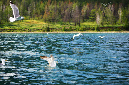 Lake Baikal, Russia.の写真素材
