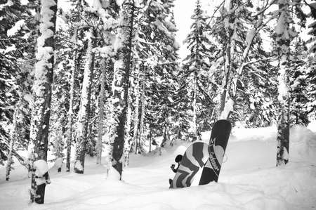 Snowy mountain forest in Russiaの写真素材