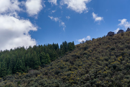 Mountain landscape in the national park Cajasの写真素材