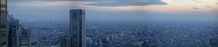 Panoramic view of Tokyo city at sunset, Tokyo, Japan