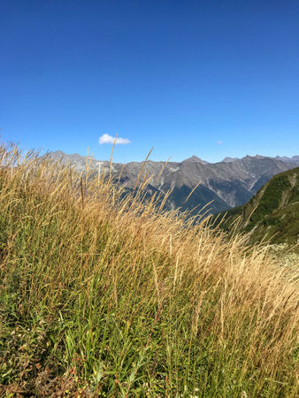 Grassland in the mountains against the background of the blue sky