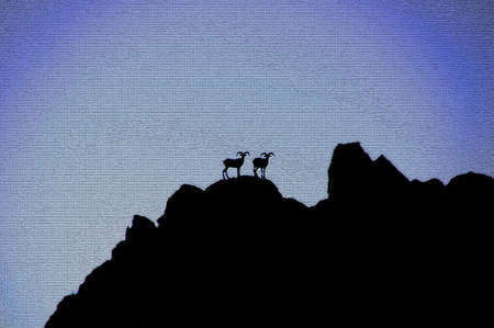 Two long horn sheep on top of a far away  cliff.の写真素材