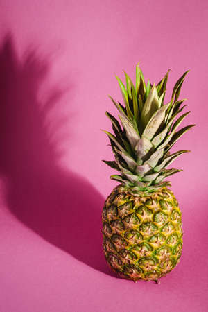 Fresh sweet pineapple on pink purple background with hard shadow, angle view copy spaceの写真素材