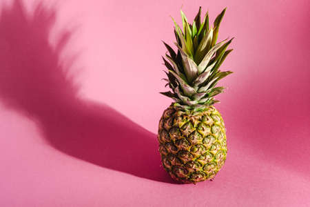Fresh sweet pineapple on pink purple background with hard shadow, angle view copy spaceの写真素材