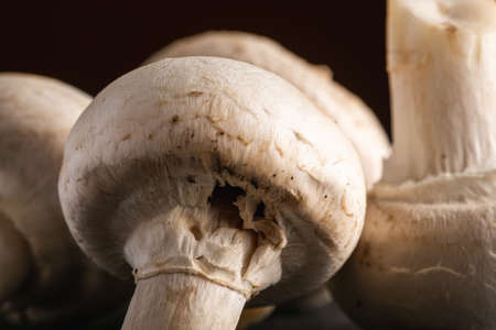 Champignon mushrooms healthy food on dark black textured background, macroの写真素材
