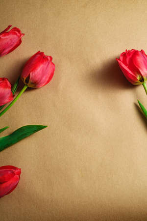 Bunch of red tulip flowers on textured brown paper background, top view copy spaceの写真素材