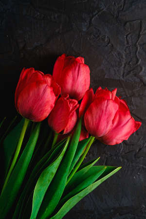 Bunch of red tulip flowers on textured black background, top view copy spaceの写真素材