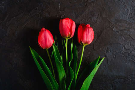 Red bunch of tulip flowers on textured black background, top view copy space