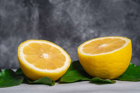 Two lemon slices, tropical citrus fruits with green leaves on grey concrete background, angle view macroの写真素材