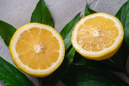 Two lemon slices, tropical citrus fruits with green leaves on grey concrete background, top view macroの写真素材