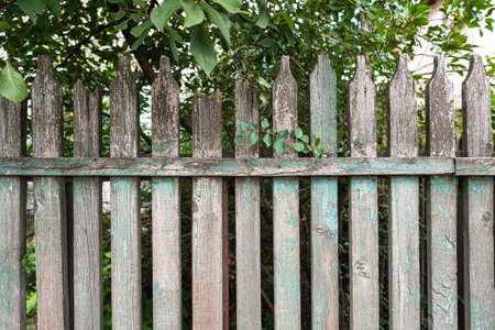 Old weathered green and grey wooden fence made of planks near to treeの写真素材