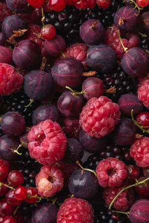 Tasty fresh ripe raspberry, blackberry, gooseberry and red currant berries, healthy food texture,...