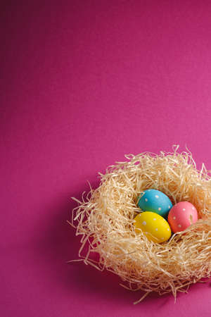 Colorful polka dot Easter eggs in wooden nest on pink purple background, greeting cardの写真素材