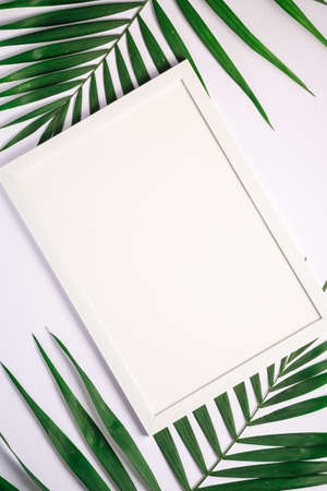 White picture frame with empty template on palm leaves, white background, mockup card