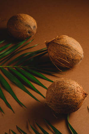 Three coconut fruits with palm leaves on brown backgroundの写真素材