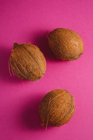 Three coconut fruits on vibrant pink purple plain background, tropical conceptの写真素材
