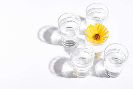 Fresh clear water drink with yellow flower in glass on white background, hard light creative composition, angle view copy spaceの写真素材
