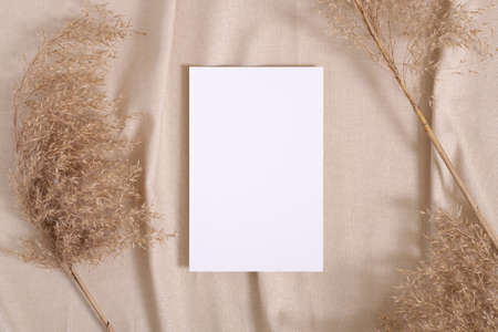 White blank paper card mockup with pampas dry grass on a beige neutral colored textileの写真素材