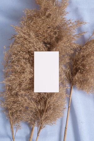 White blank paper card mockup with pampas dry grass on blue neutral colored textileの写真素材