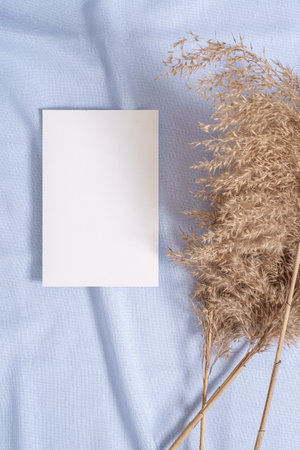 White blank paper card mockup with pampas dry grass on blue neutral colored textileの写真素材
