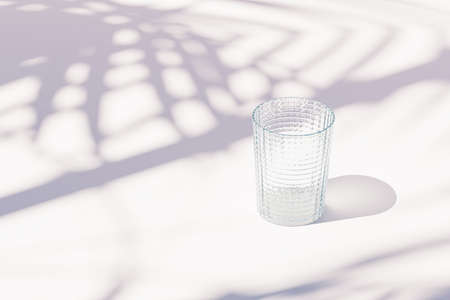 Vintage empty glass on white background with tropical leaf shadows, 3d renderの写真素材